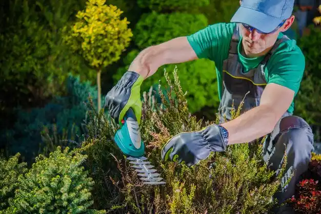 landscaping services McComb